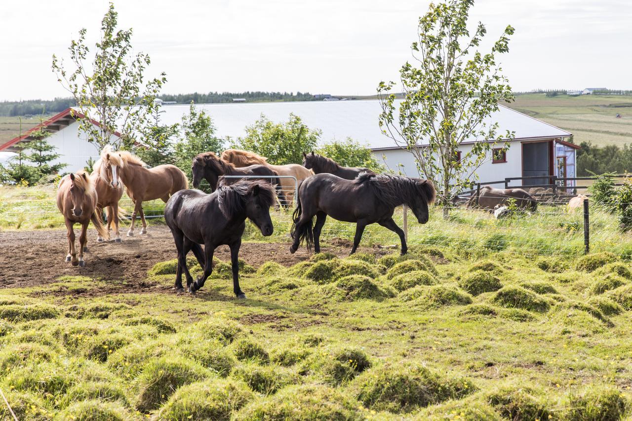 Klara'S Farm Holidays Hella Exterior foto